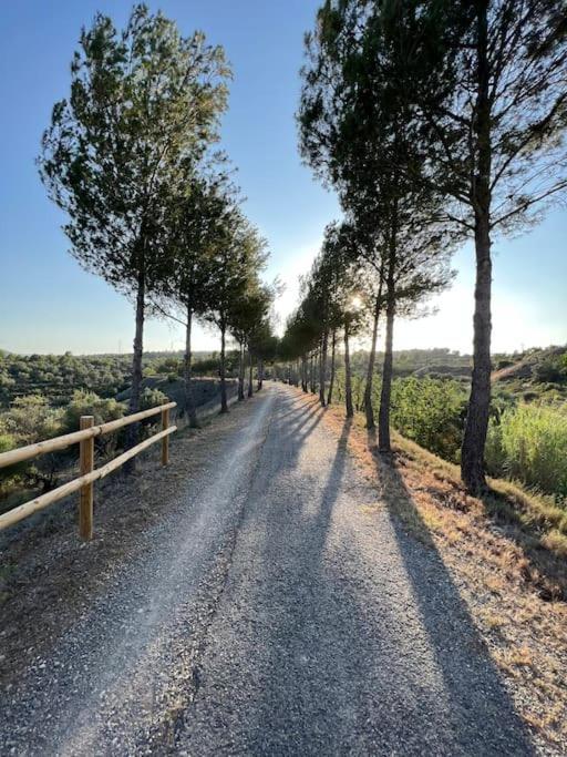 Apto. Rural Cielo. Al Lado Torre Jérica Esterno foto